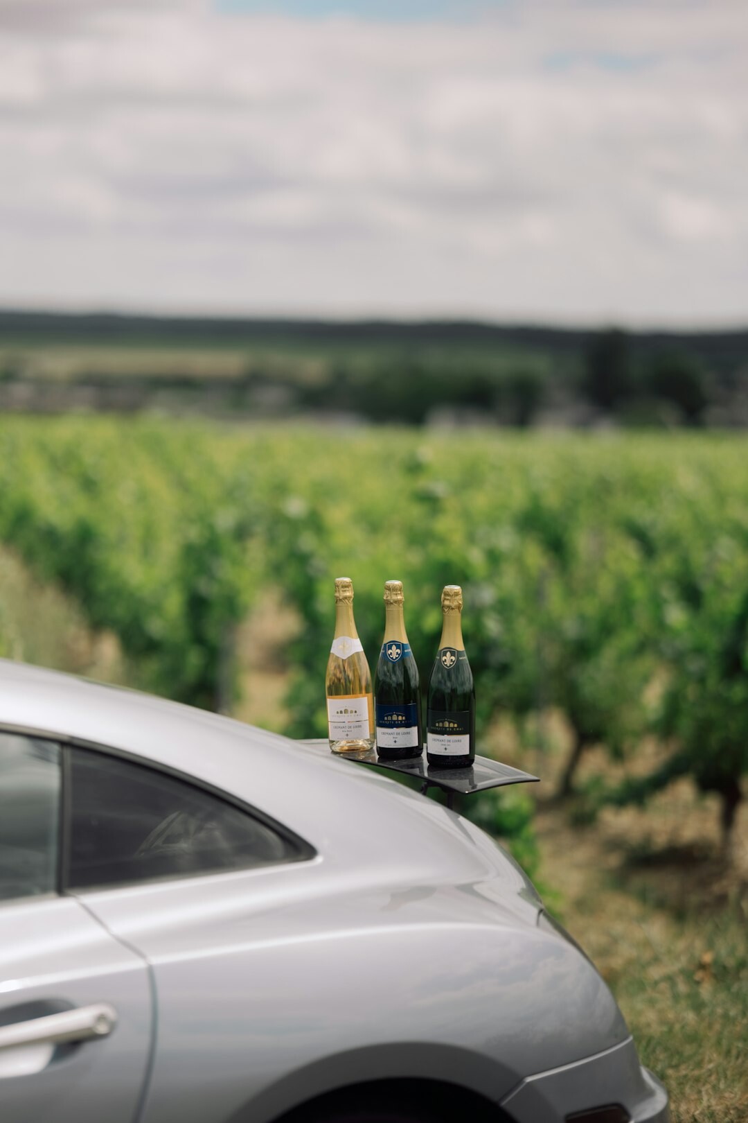 luxury car parked by vineyard