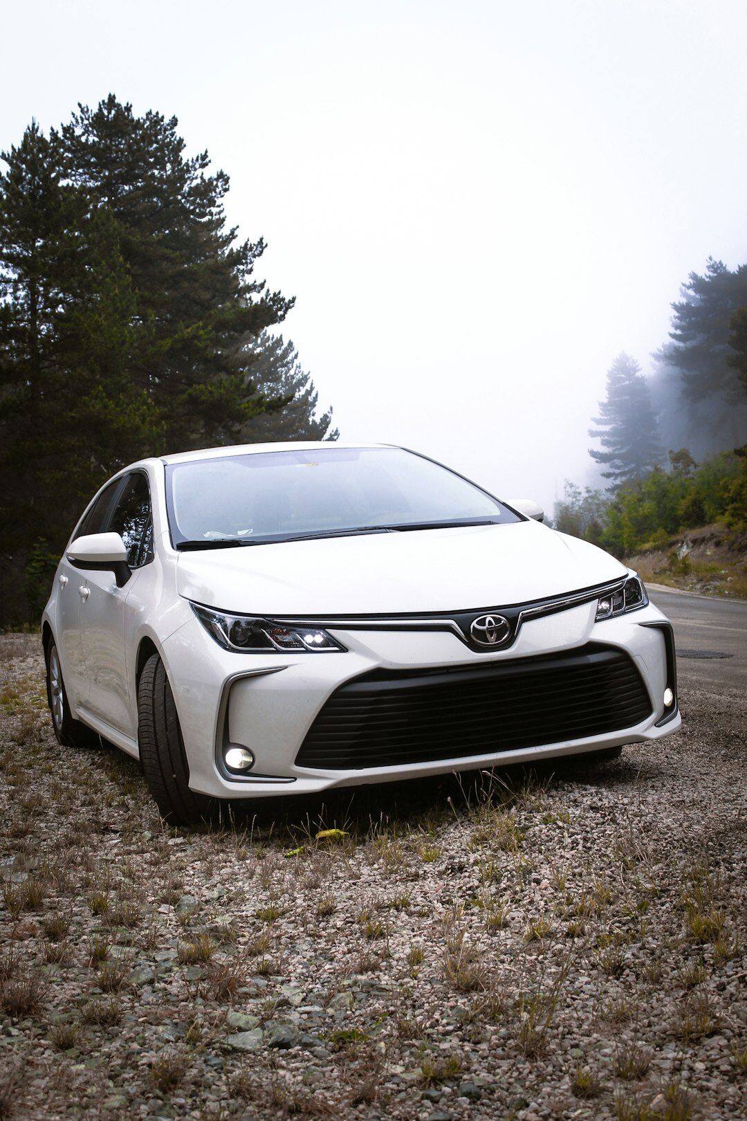 White Toyota Corolla sedan parked outside a modern dealership