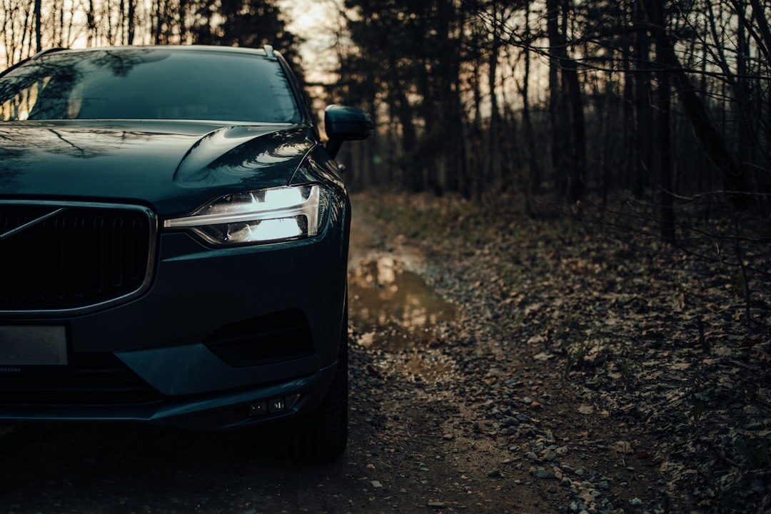 Dark green Volvo XC60 Recharge hybrid SUV on a forest road